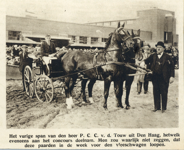 99061 Afbeelding van de paardenspan van eigenaar P.C.C. v.d. Touw uit Den Haag op het Concors Hippique dat werd ...